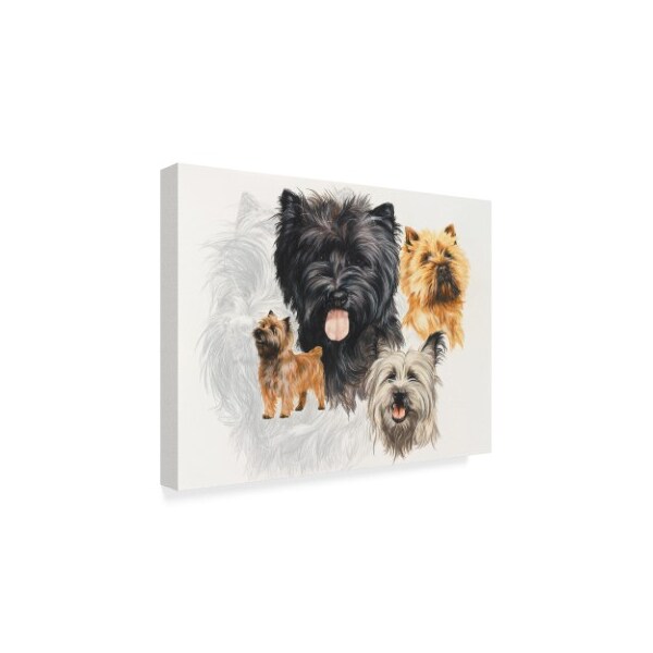 Barbara Keith 'Cairn Terrier' Canvas Art,18x24